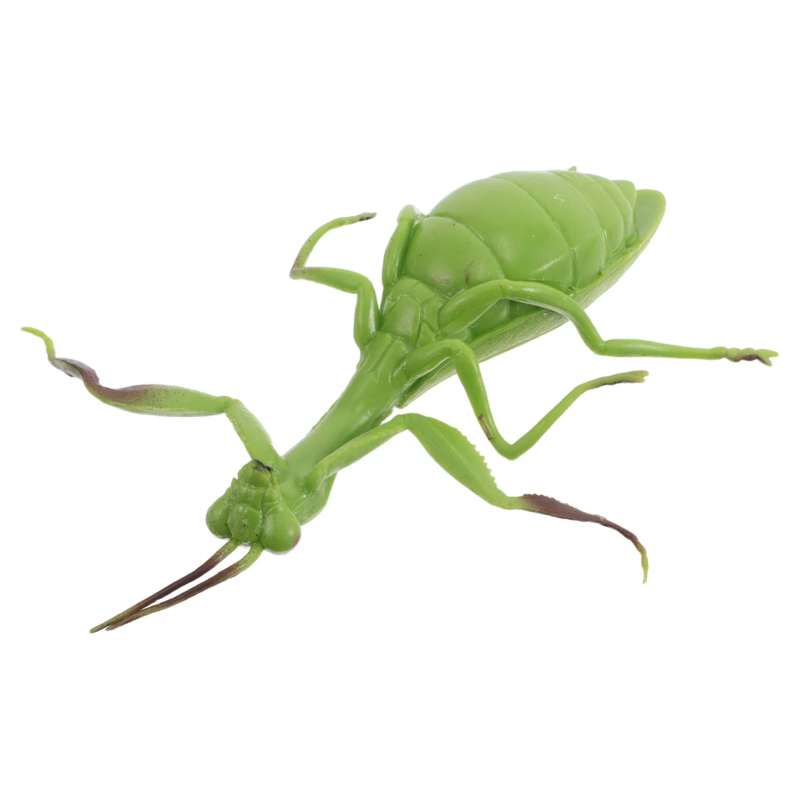 mantis-de-simulacao-realista-animal-macio-e-apertavel-brinquedo-educativo-para-aprendizagem-ornamento-de-mesa-decoracao-de-casa-animais-de-simulacao