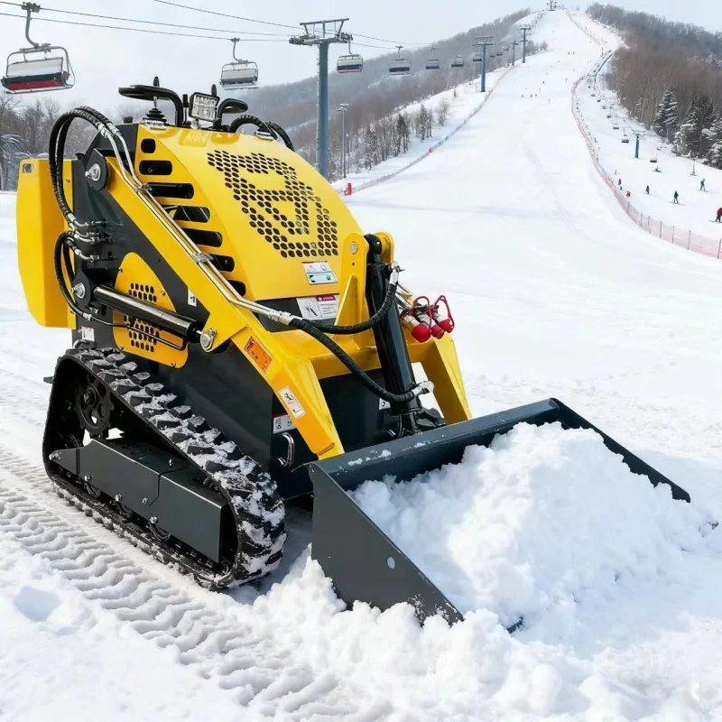 Patinadora compacta CE EPA personalizada de fábrica de China, minicargador de cubo compacto para huerto, patín todo terreno para el hogar a la venta