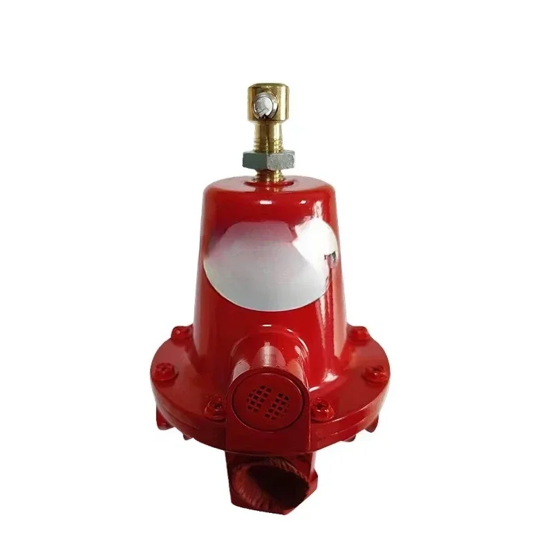 1584VN pressure reducing valve gas burner regulator connected to gasifier regulation control
