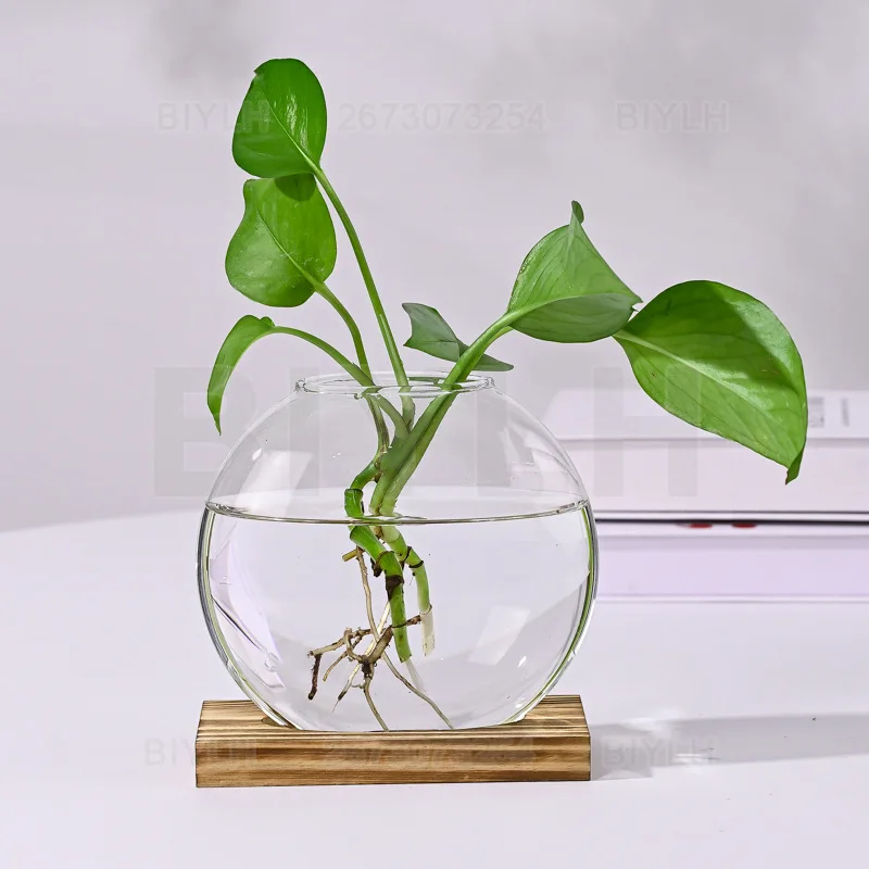Hydroponic Glass Vase Home Decor Flower Arrangement Container Office Living Room Desktop Ornament Cuttings Growing Accessories