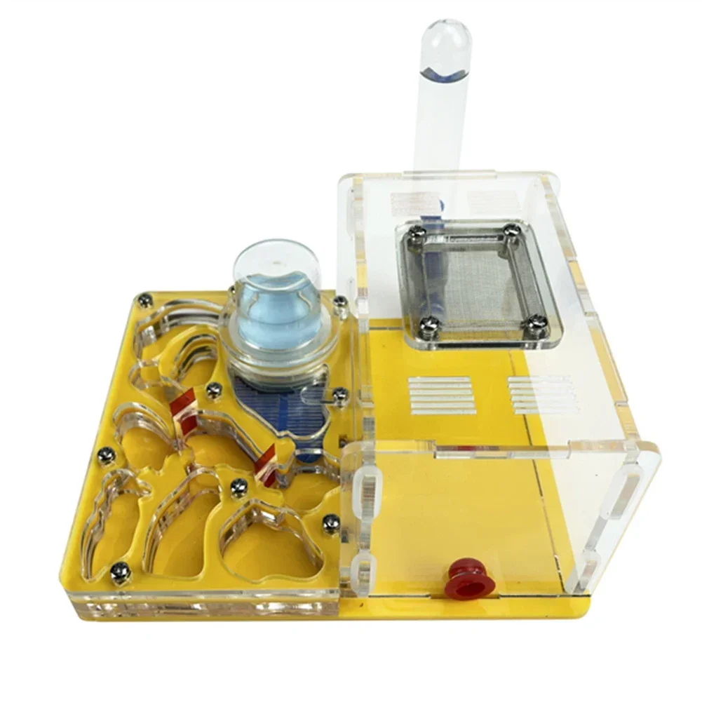 Nido de hormigas de granja de hormigas 3D plano de acrílico DIY con área de  alimentación casa de hormigas Villa de insectos taller de antill para  mascotas con torre de agua hidratante -, image size:1001x1001