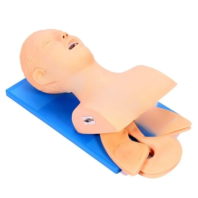 2026Intubation Human Body Model Learning Teaching Model Airway Management Training Device PVC  Alarm Simulator With Teeth