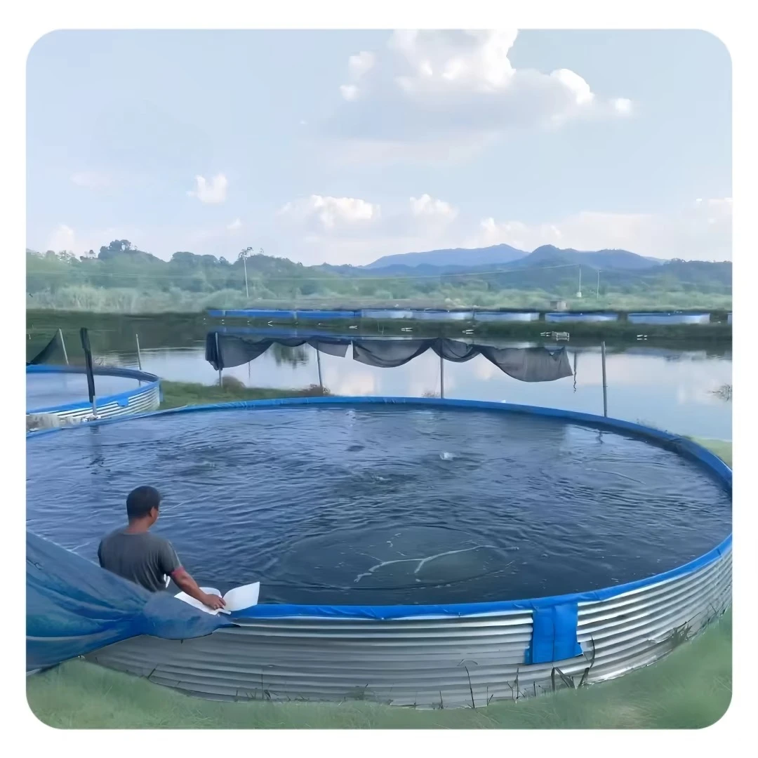 

High Density Fish Farming Tank Aquaculture Fish Tank High Quality Fish Pond