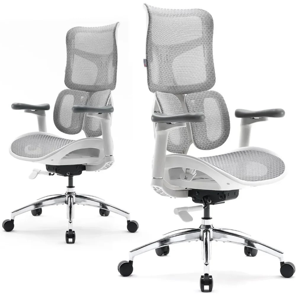 Ergonomic Office Chair - with Dual Dynamic Lumbar Support, 5-Level Adjustable Backrest, 4D Coordinated Armrests, 135-degree Max