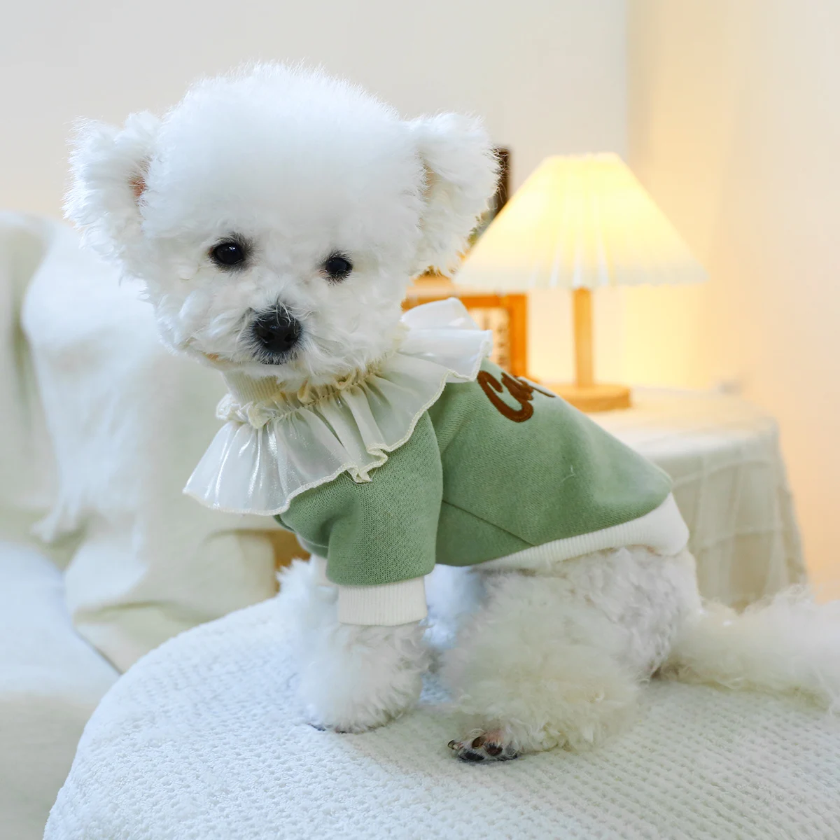 1PC Pet Clothing Cat Spring Autumn Plush Thickened Green Cake Lace Pullover Round Neck Shirt Suitable for Small and Medium Dogs