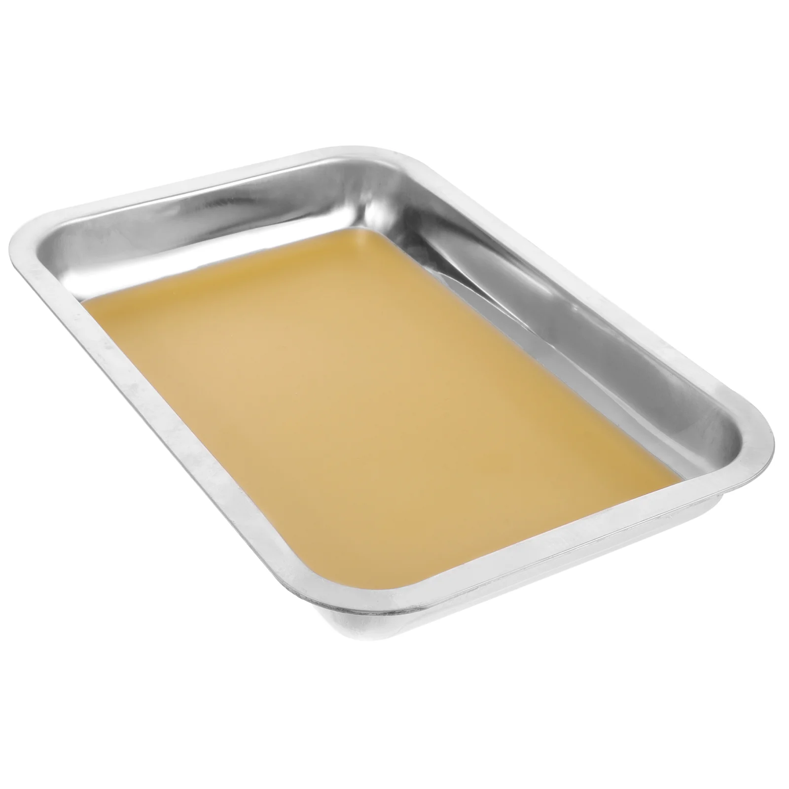 

Anatomy Tray Dissection Pan Tableware Stainless Steel Wax Metal Dissecting Plate