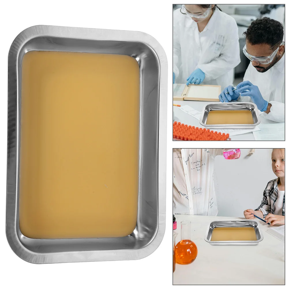 

2pcs Stainless Steel Dissecting Wax-Coated Surface For Sample Fixation School Lab Use Dissection Pan Laboratory Equipment Metal