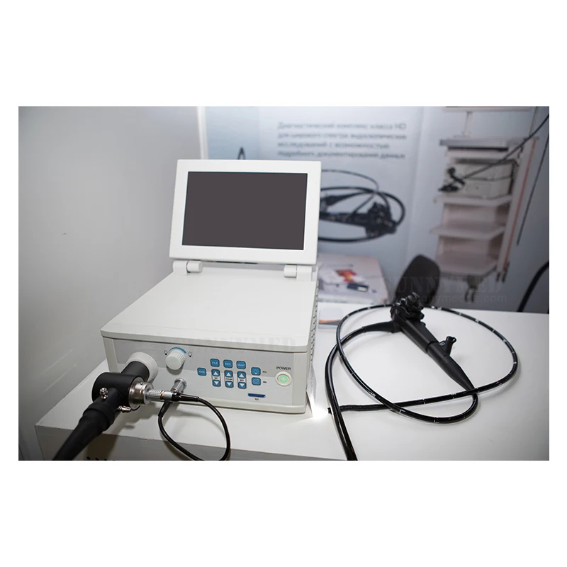 SY-P033 High Quality Electronic Flexible Gastroscope Veterinary Video Endoscope System