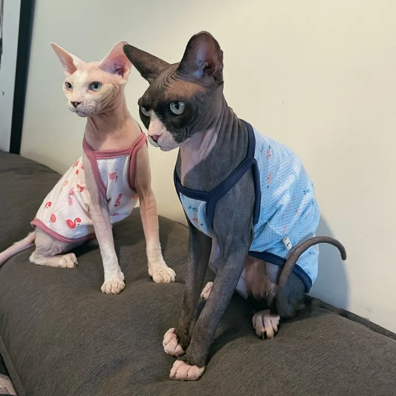 

Летняя одежда для кошек Sphynx, быстросохнущая футболка для собак, дышащий жилет для безрукавки, защитное пальто для кошек Devon Rex