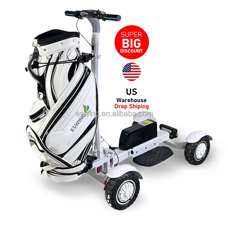 Cheap Electric Mini Cart 20Ah 4 Wheel Removable Foldable 2400W Aluminum 30km/h 1-2 Seats CE Certified 48V 30-50km Range