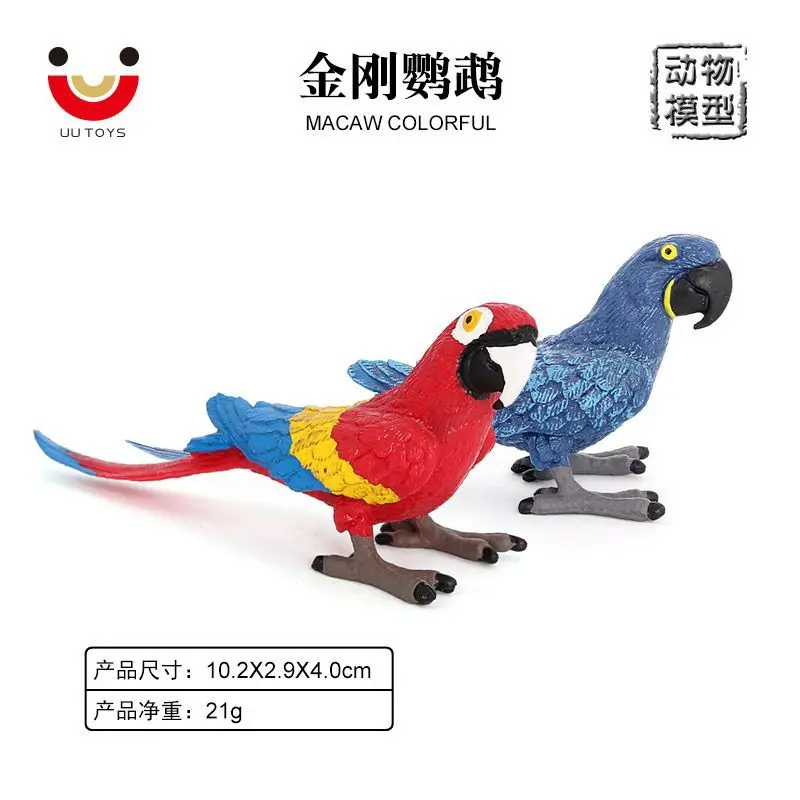 Cross-border solid simulation wildlife, bird model, bird macaw, children's early education cognitive toy ornament