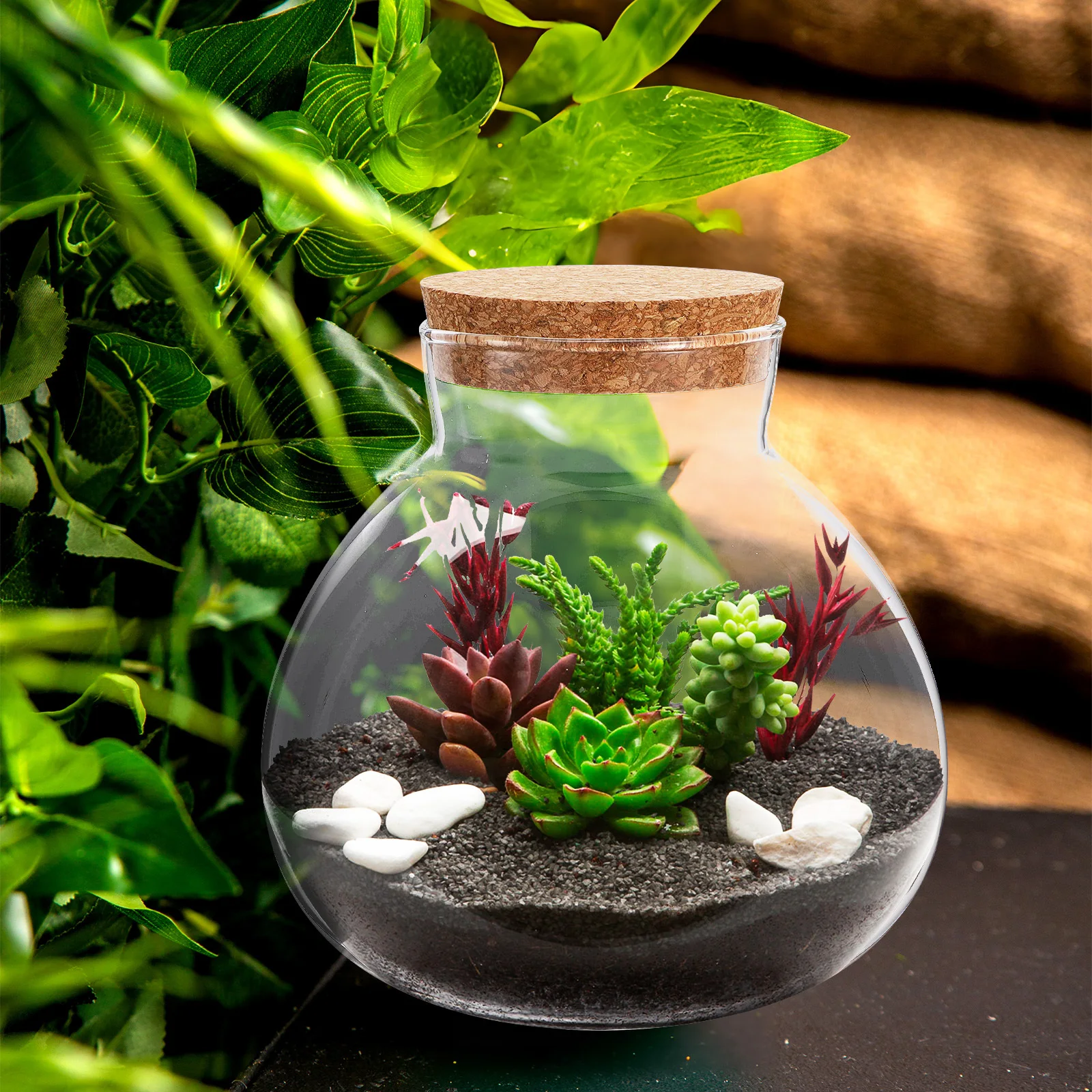 

DIY Glass Ecological Bottle Round 15x16cm Transparent Micro Landscape Terrarium Moss Plant Bottle Home Decoration