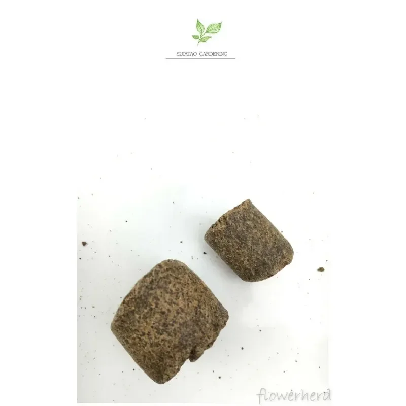 250g Japanese Tamahi Organic Fertilizer for Coniferous Bonsai Long Time Last Trace Element Compost High Efficiency Fertility