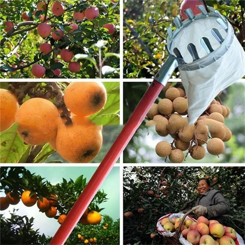 Garden Fruit Picker, Telescopic Fruit Picking Tool Manual Fruit Harvesting Scissors For The Garden Suitable For Various Fruits