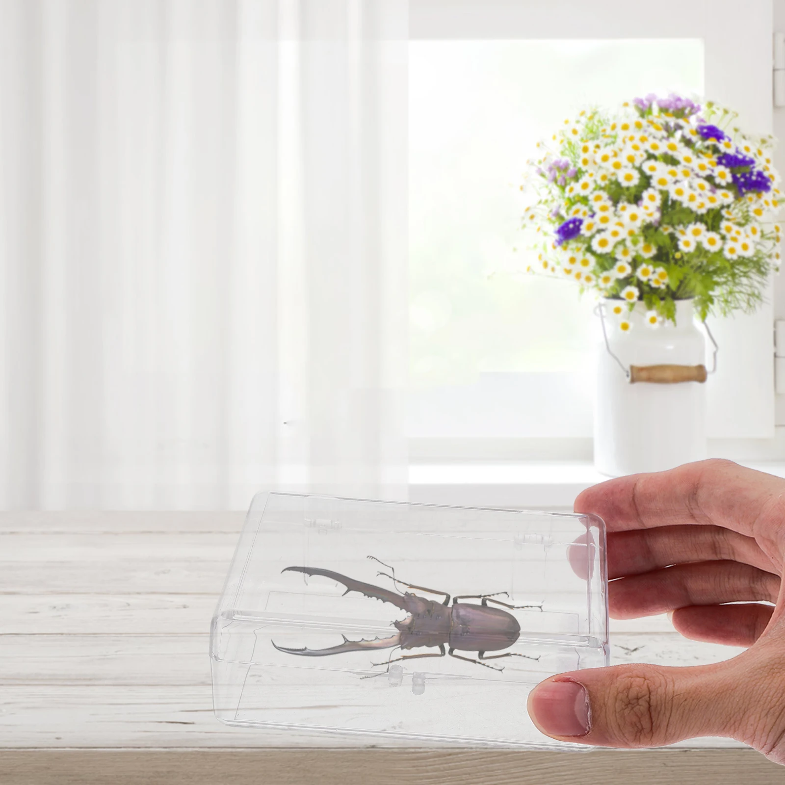 

Specimen Storage Box Transparent Rectangle Multifunctional Display Case Organizer for Badge Jewelry Button Pin Storage Holder