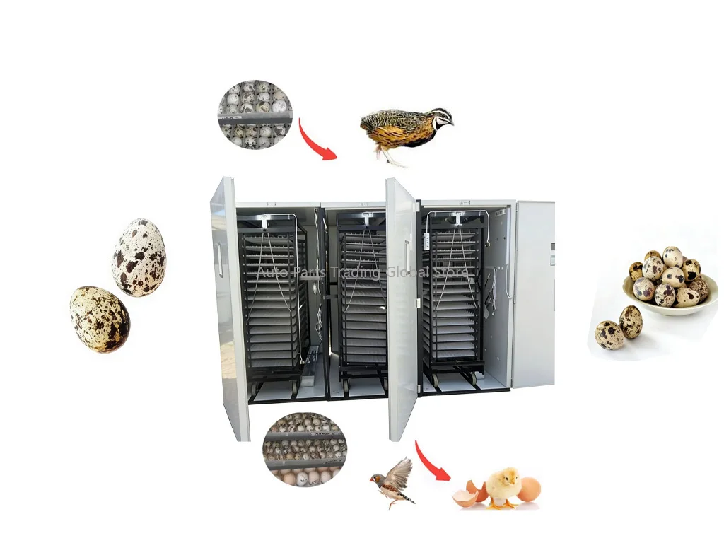 Industrial Automatic Egg Turner For Large-Scale Incubation For 14784 Chickens Eggs 10584 Duck Eggs 37128 Quail Eggs GooseHJ-I22