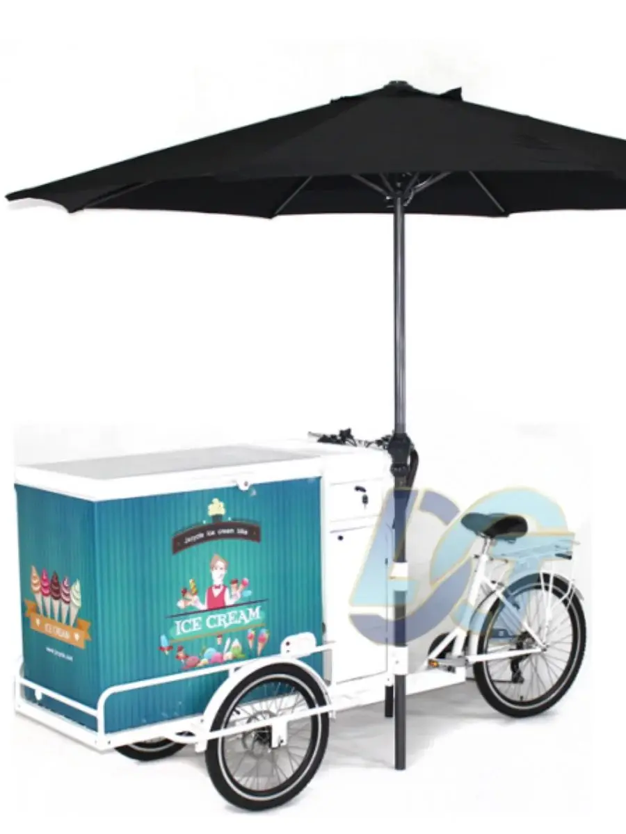 AliExpress HAOYUNMA Ice Cart with Freezer Bike 200L Ice Cream Bike Cart Tricycle for Sale
