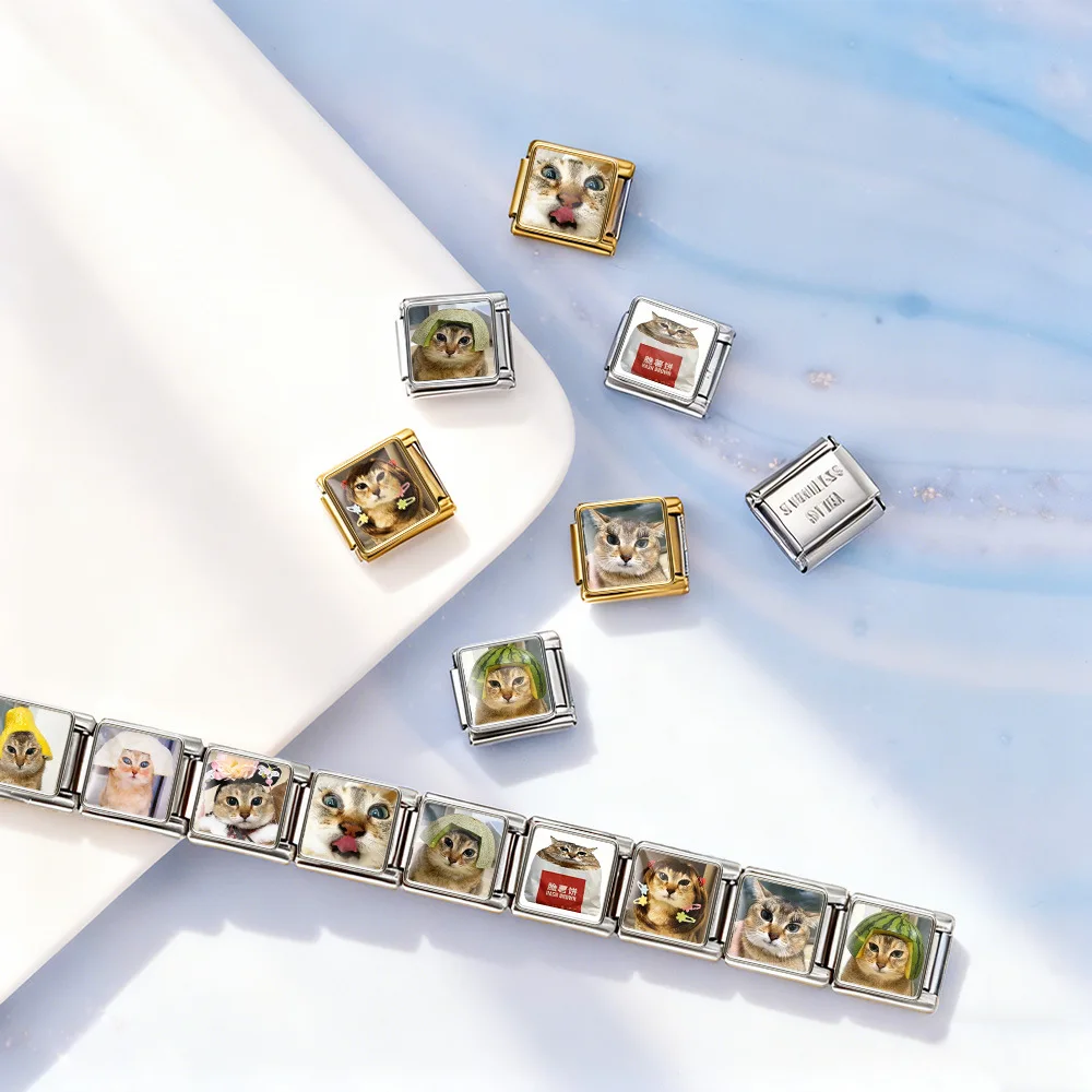 Funny Cat Meme Italian Charm Links 9mm Stainless Steel Module Bracelet Cute Kitten Photo Pattern Charms DIY Making Accessories