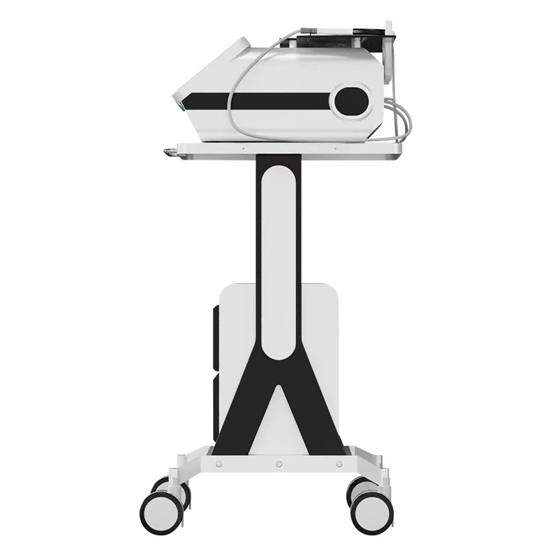 Desktop Fever Master 448K Body Management Uitgebreid instrument voor gezondheidsbehoud en gebruik in de schoonheidssalon