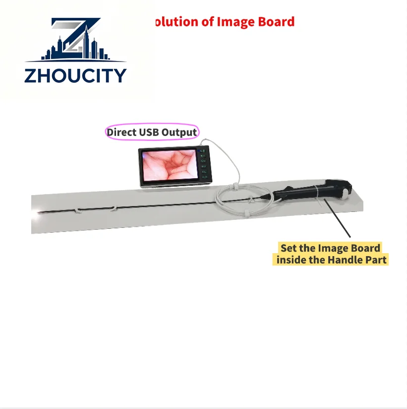 2.8mm USB Digital Flexible Disposable ENT  Nasal Endoscopy Veterinary and Human Use