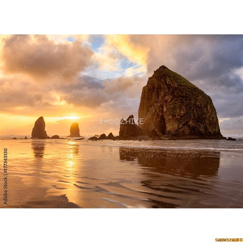 Tropical Sea Beach Palms Tree Photography Background Natural Scenic Photo Backdrops Photocall Photo Studio HHB 10