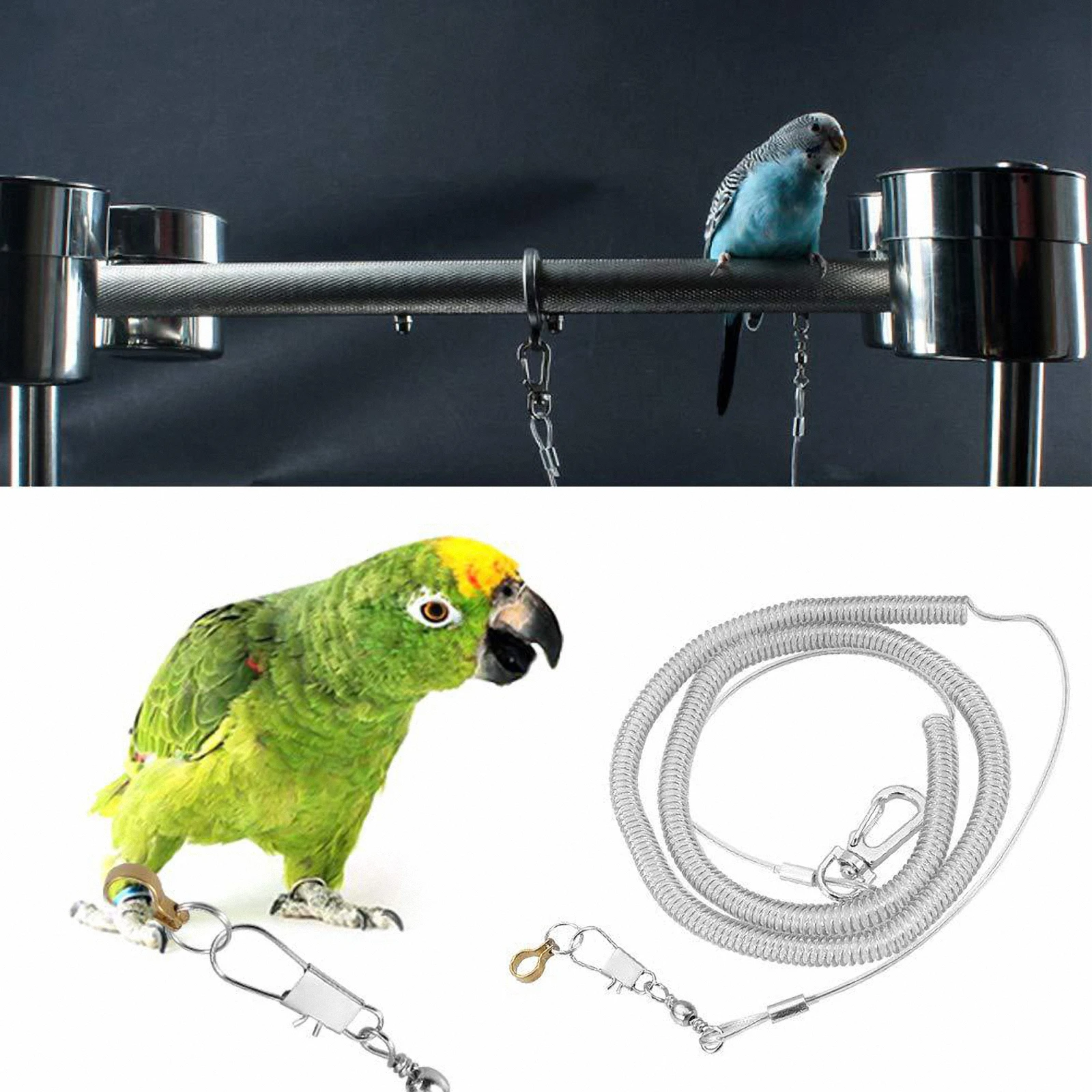 

Parrot Flying Rope Bird Training Harness Pet Supplies Silver Color Durable Long Length Parakeets Cockatiels Lovebirds Toy