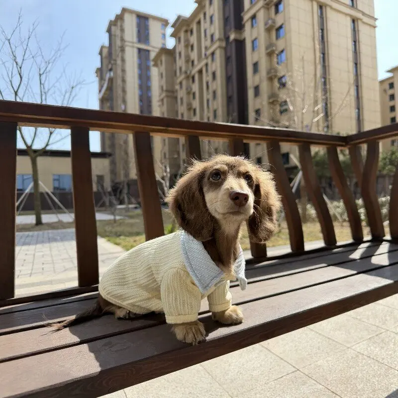 Suéter cálido de punto para perros Dachshund otoño e invierno - imagen 3