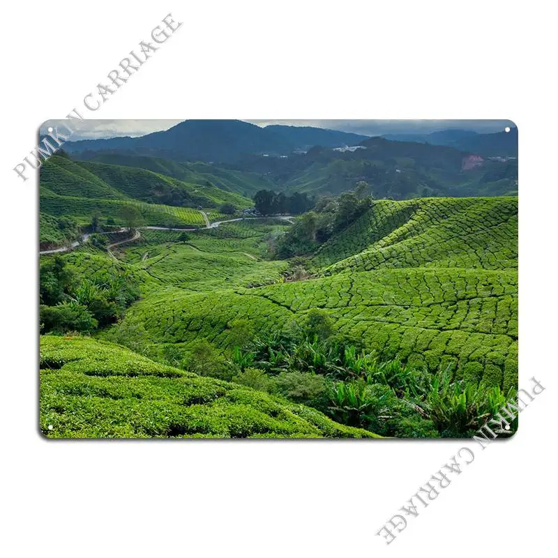 Cameron Highlands Tea Plan Metal Plaque Poster Cinema Pub Plaques Wall Mural Tin Sign Poster