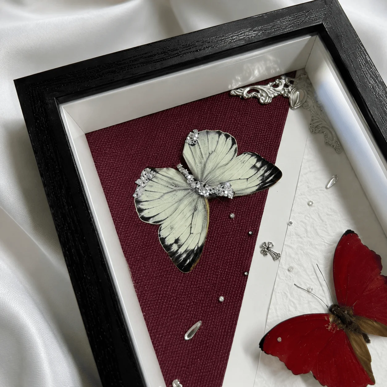 6 Inch Butterfly  Shadow Box Art 