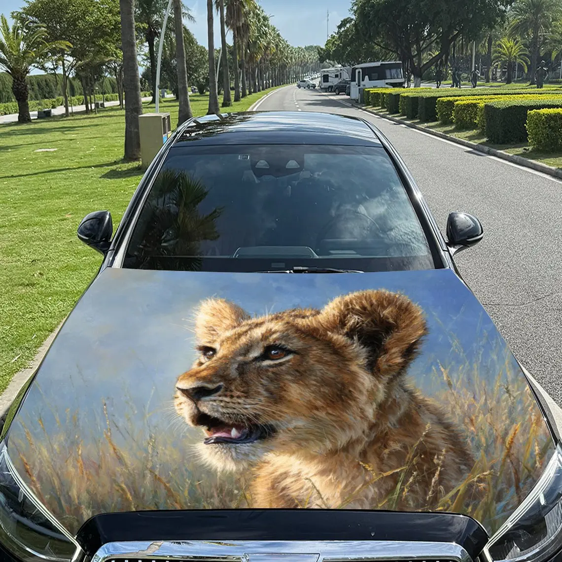 Car Decals A Lion Cub With A Spirited Look Against A Grassland - Style Background Car Hood Sticker, Waterproof Self - Adhesive V