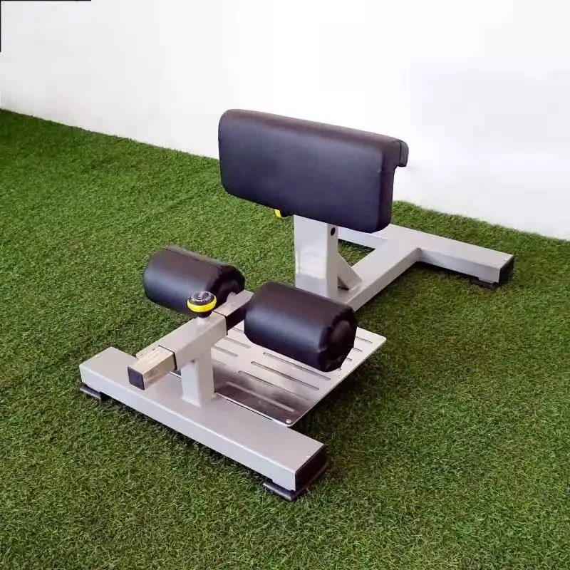 

Home Gym Indoor Strength Training Equipment Sissy Squat Exercise Equipment