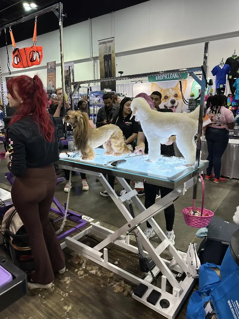Pet Grooming Teaching Demonstration Table LED Lighting Factory Price Electric Lifting Foldable Table