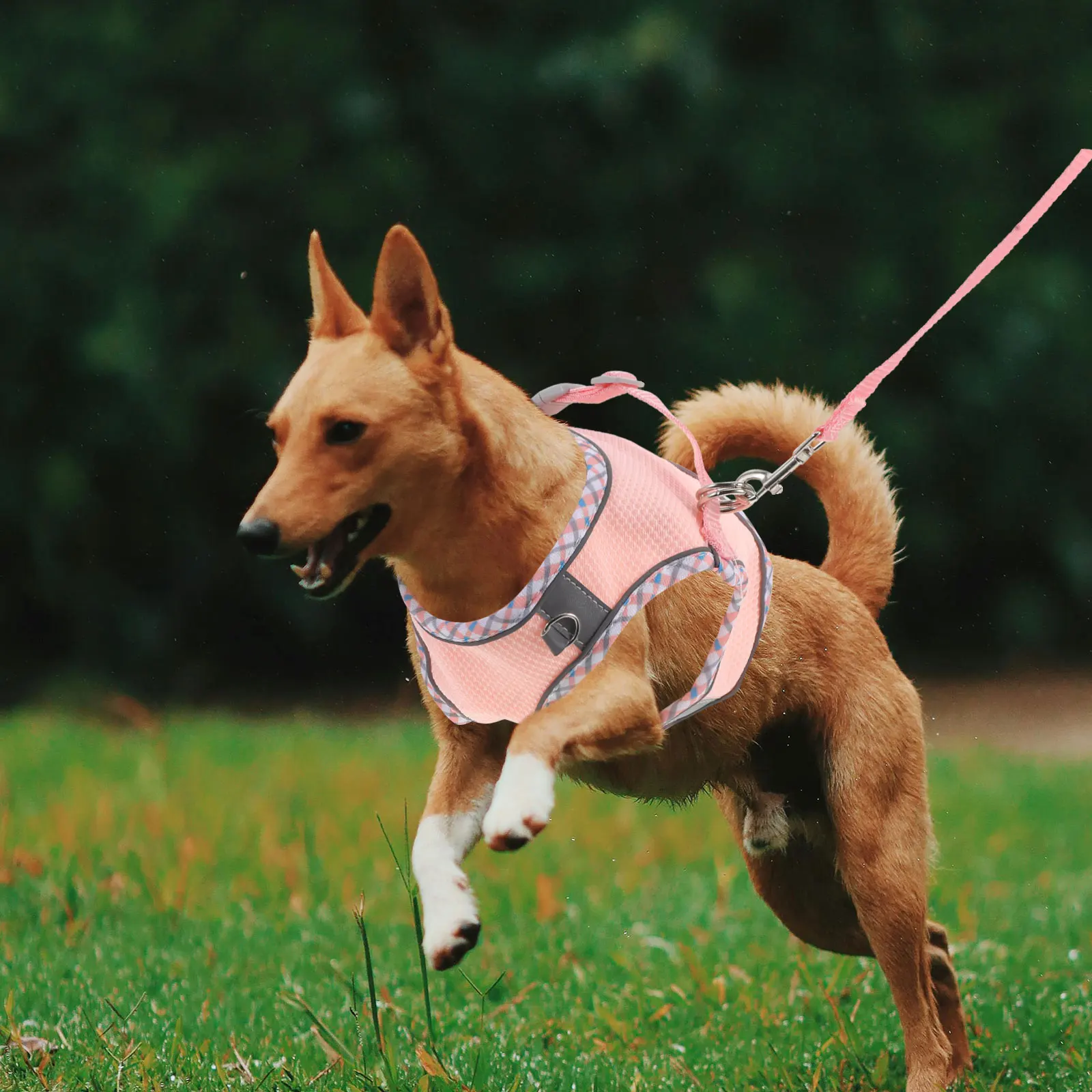 

1 Set Adjustable Outdoor Harness Pet Dog Vest For Small Dogs Wear-Resistant Training Leash Portable Puppy Harness Durable Dog