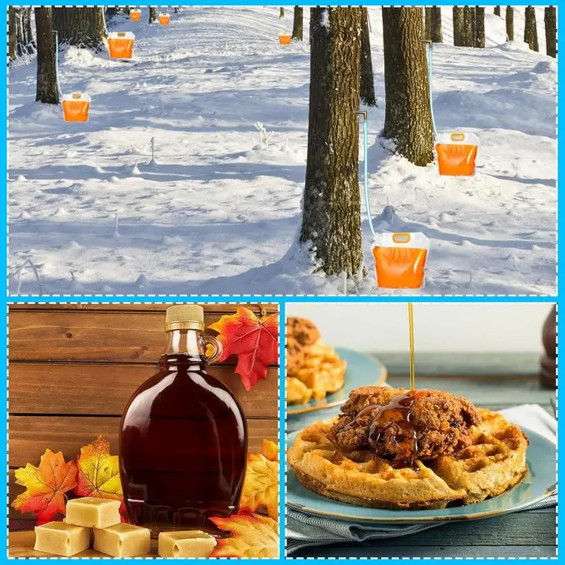 Maple Syrup Tapping Kit Maple Tree Tap L-Shaped Tip Design With Reusable Collection Bags And Frost-Resistant Tubing For Birch