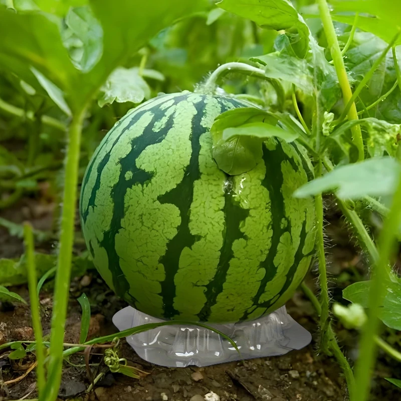 plastic watermelon stand fruit stand support basket frame vegetables plant tray rack melon squash pumpkin protective holde