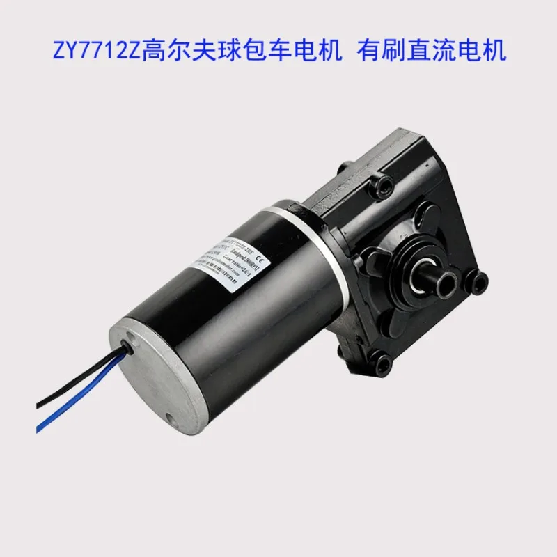 Golf Package Car Motor, Brushed DC Gear Motor