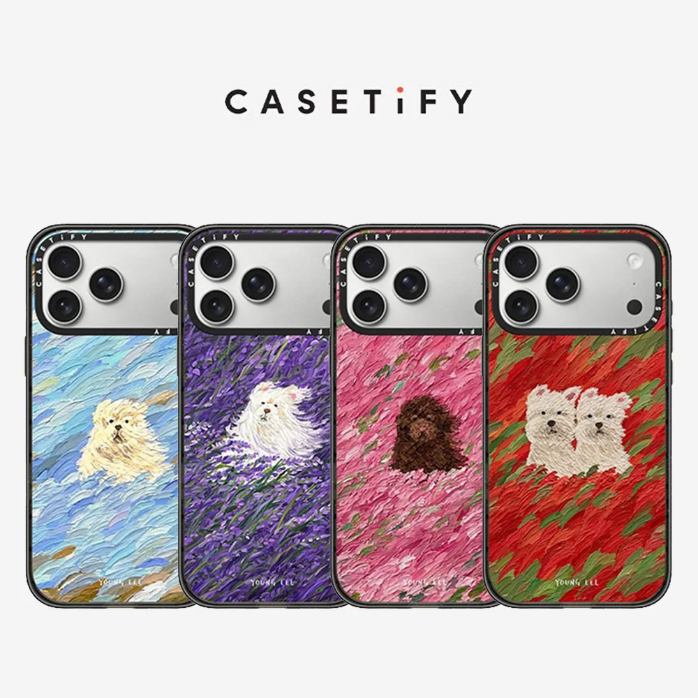 

CASETiFY Young Lee Series Magnetic Drop-proof Case for iPhone 13 14 15 16 17 Pro Max Air Plus Protect Cover