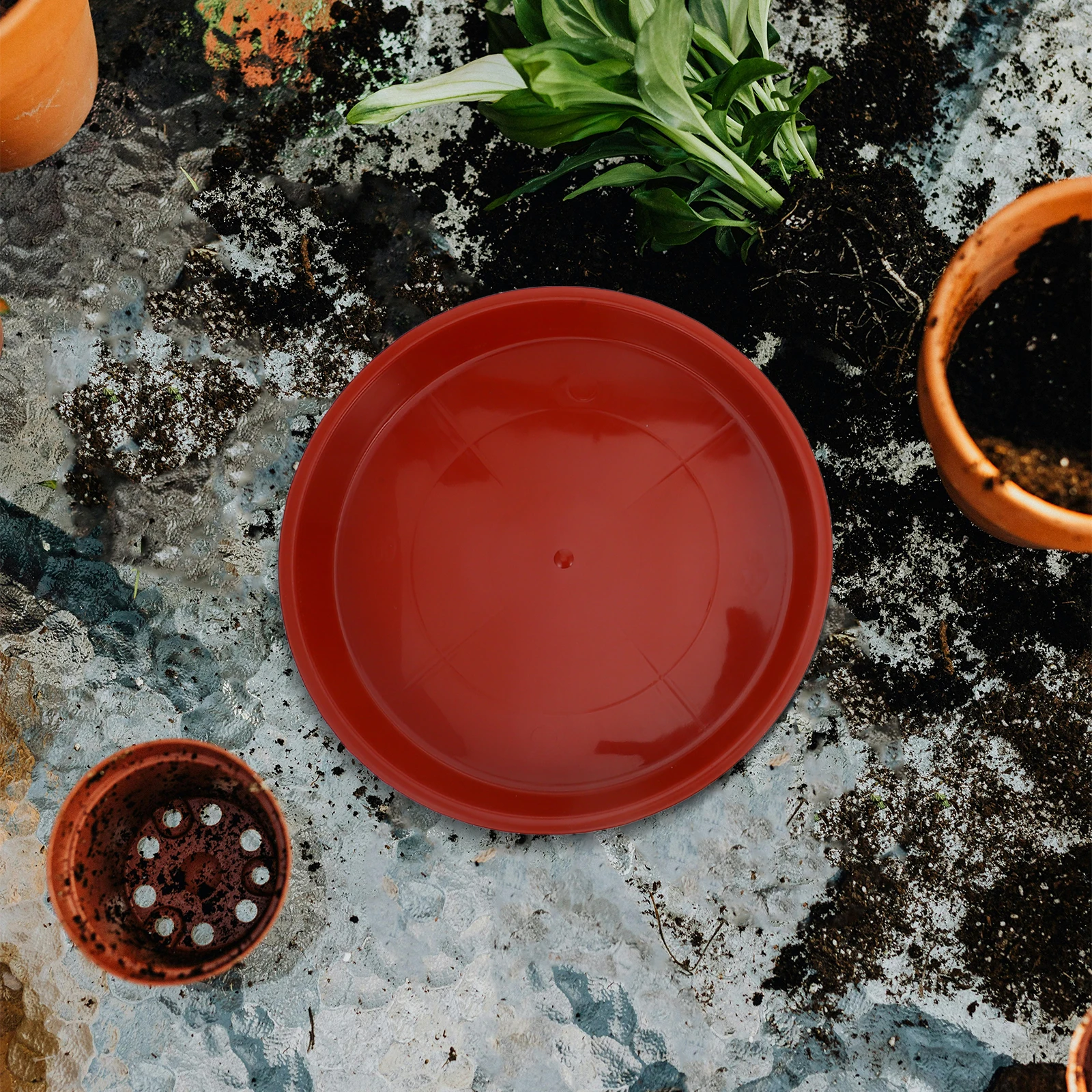 

20pcs Round Flowerpot Water Tray Plant Saucer Durable Pp Material Easy Moving Garden Home Drainage Tray For Flower Pots Indoor