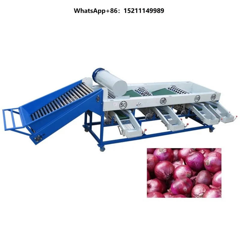 Intelligent Onion Sorting Classifier Machine with High Speed Size Grading and Calibration System