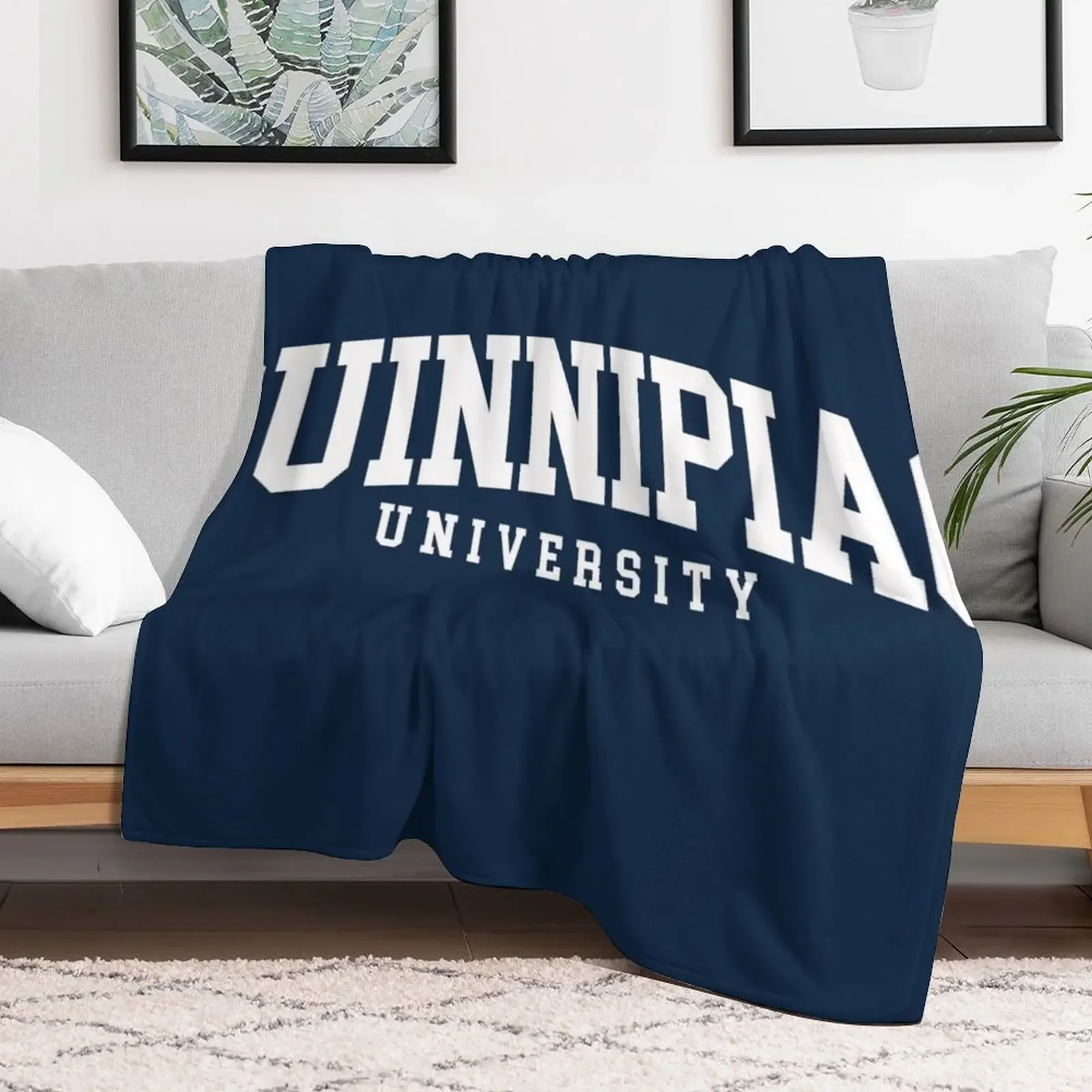 quinnipac - college font curved Throw Blanket Summer Multi-Purpose Decorative Sofas Blankets