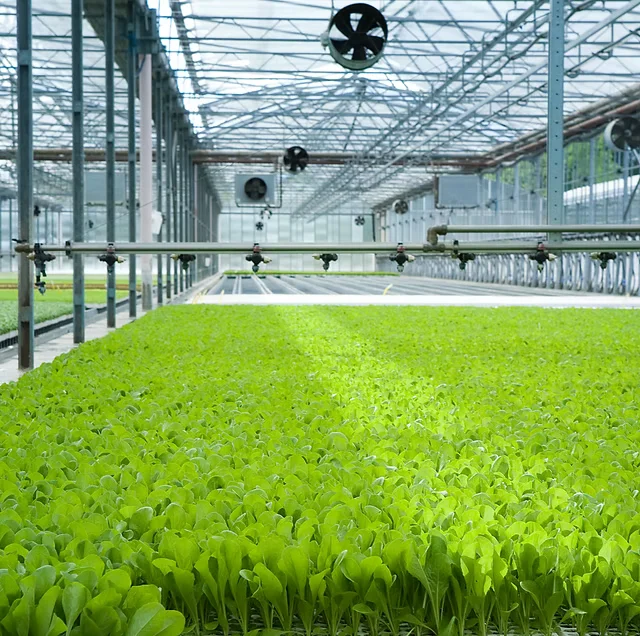 

Customized greenhouseYutuo Multifunctional Greenhouse Supply Frame Steel Galvanized Multi-Span Glass Greenhouse with Hydroponics