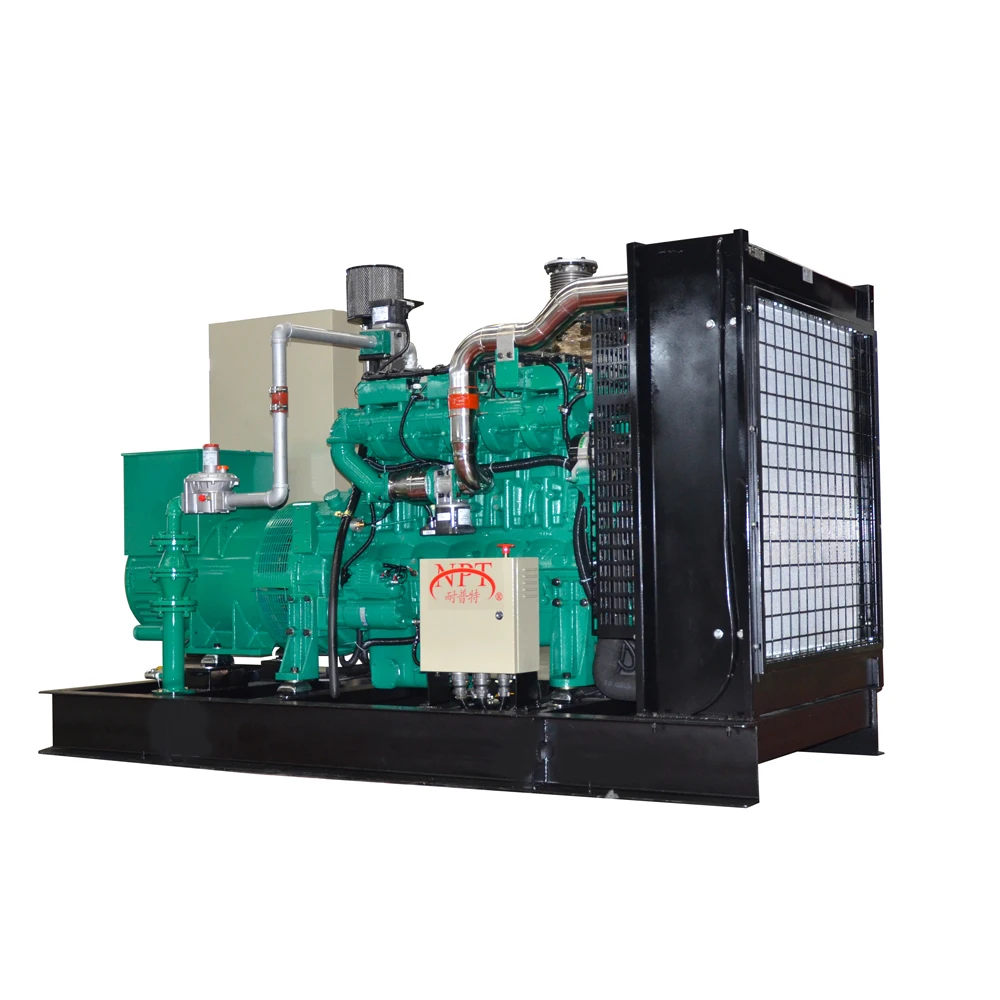 Generatore di corrente del motore a gas del Biogas della biomassa del Gas naturale di 300kw 400kw 500kw