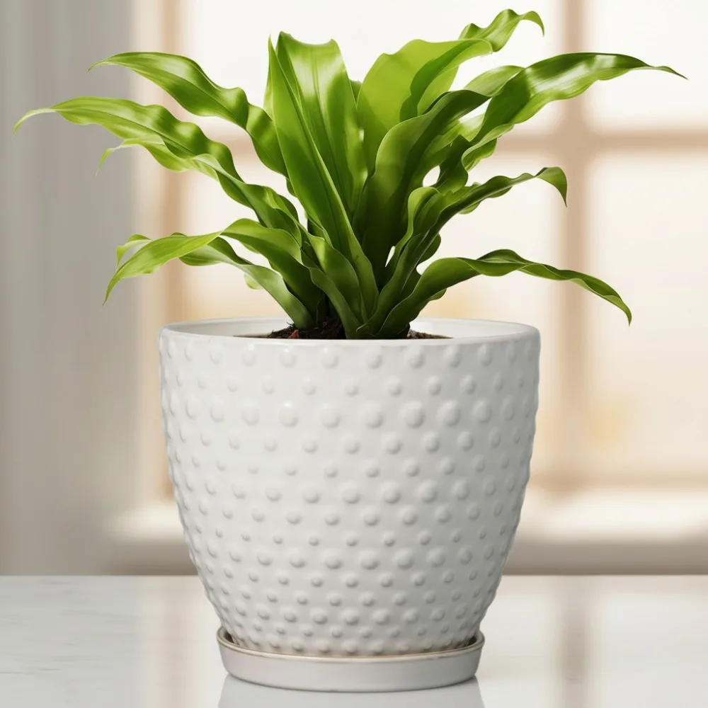 

8 Inch Ceramic Plant Pot with Drainage Hole and Saucer, Modern Round Flower Pot for Indoor Outdoor Plants, White