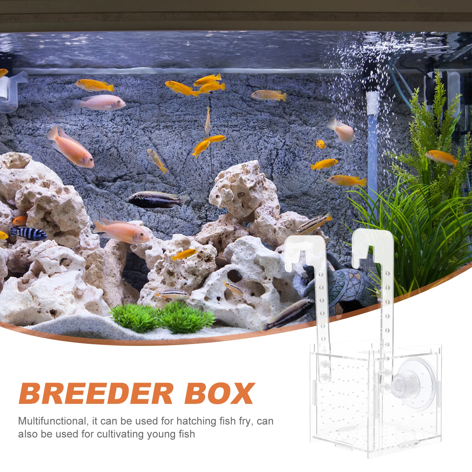 

Fish Tank Isolation Box Professional Breeder Transparent Incubation Hanging Separator Aquarium Accessory Acrylic Material