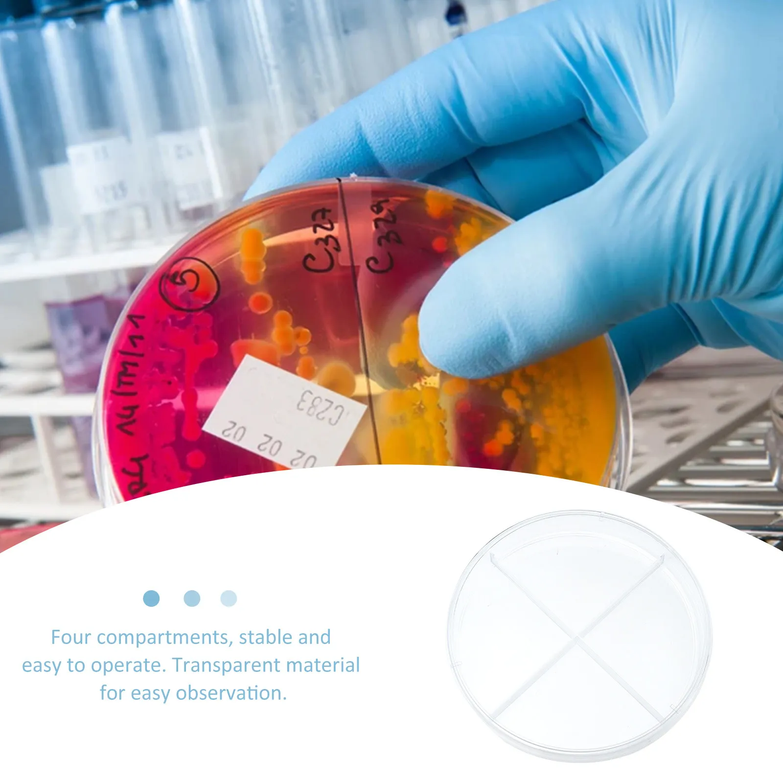 10Pcs Clear Plastic Petri Dish for Cell Culture Four Compartments High Clarity Microscopic Examination Scientific Experiment