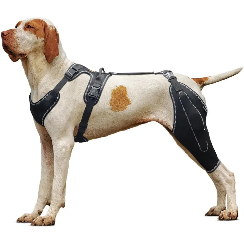 Universe Grocery Store Pet Protector Dog Thigh Protector Postoperative Auxiliary Leg Cover Adjustable Metal Support