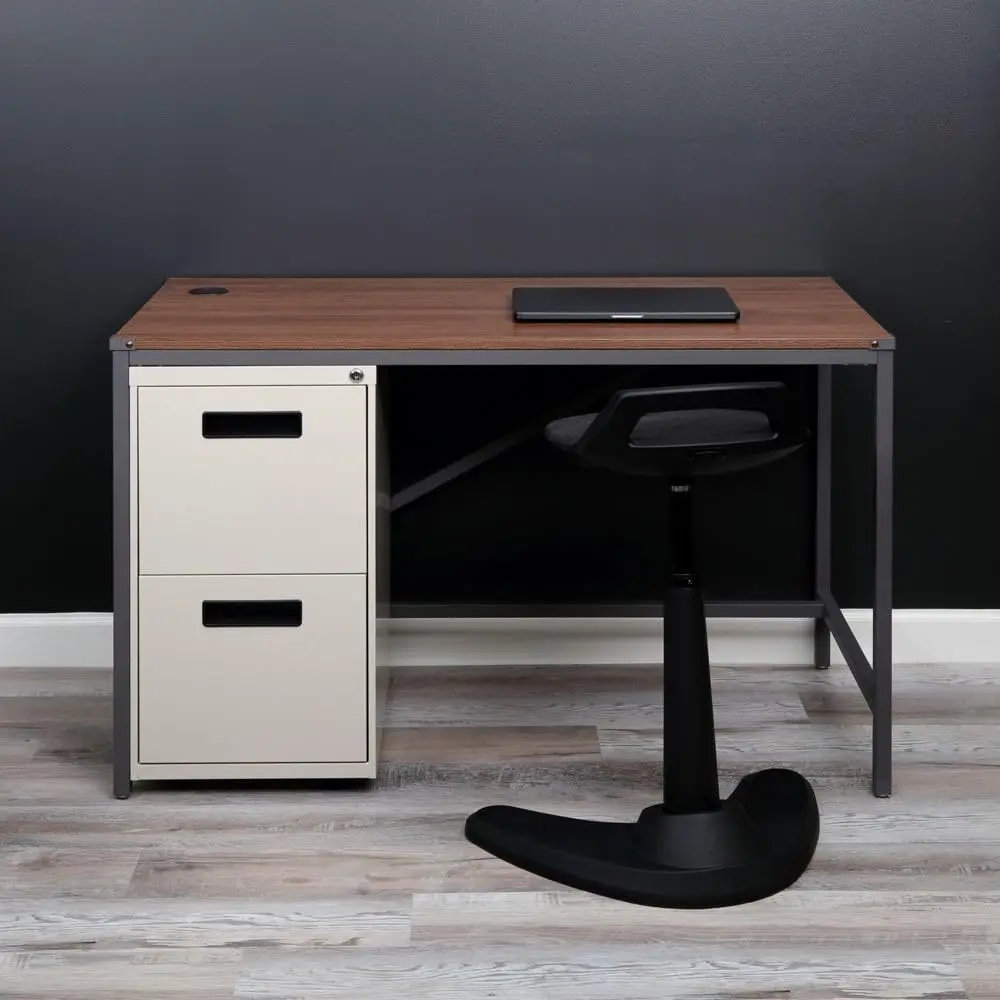 2 Drawer Vertical File Cabinet with Legal & Letter Size Storage, Office & Home Organization, 14.96x19.29x27.75in, Customized