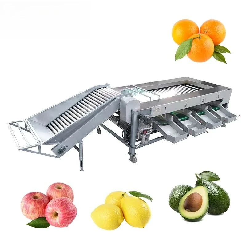 Industrial Avocado Orange Automatic Roller Sizer Fruit Vegetable Grading Equipment Lemon Avocado Sorting Machine view 6