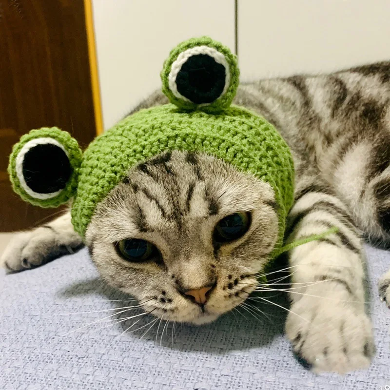 Button Frog Head Cover Handmade Knitted Cat Cartoon Head Cover Woolen Knitted Funny Headwear