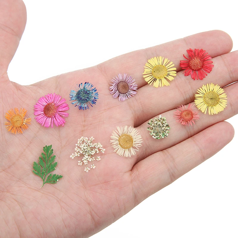 1 صندوق زهرة مجففة حقيقية لمسمار الراتنج لوازم حشوات ورقة سكرابوكينغ الديكور الحرف اليدوية النتائج Diy بها بنفسك صنع المجوهرات #3